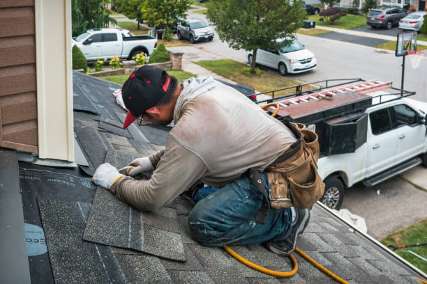 Professional Roof Repair technician working in Forestville, OH